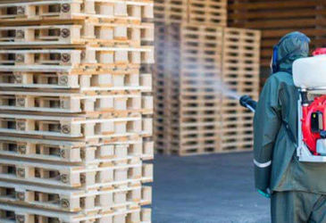 Фитосанитарная обработка тары