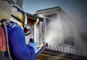 Вредители в деревянных домах